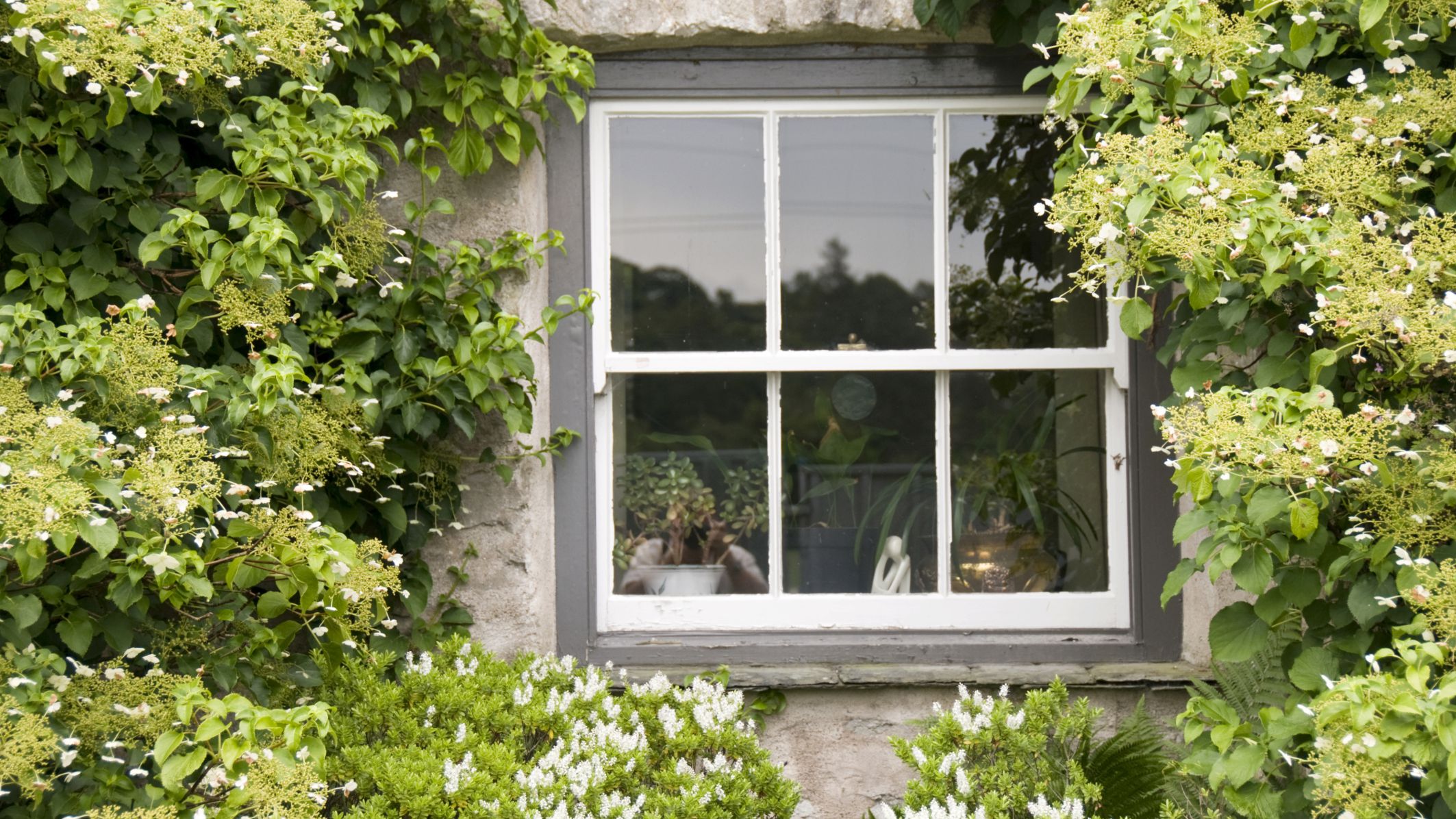 American Style Hung Window UPVC Profile Steel Support Single Hung Window Doule/Triple Glazed Double Hung Window